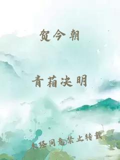 贺今朝