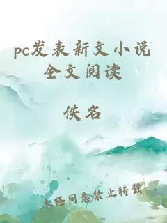 pc发表新文小说全文阅读