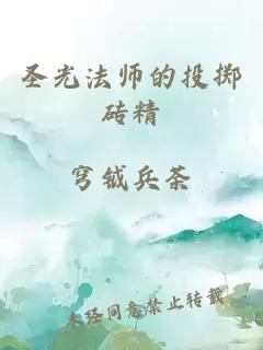 圣光法师的投掷砖精