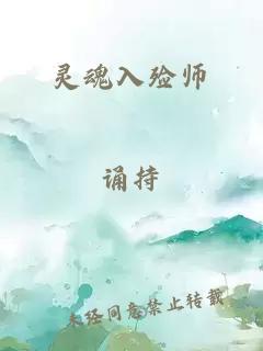 灵魂入殓师