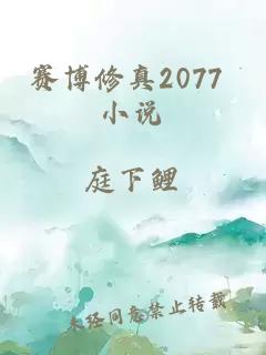 赛博修真2077 小说